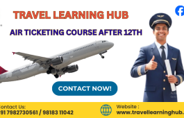 Air Ticketing Course after 12th