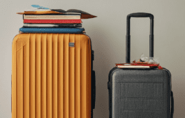 Exploring Your Options Pros and Cons of Short-Term vs. Long-Term Travel Courses in Delhi