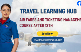 Air Fares and Ticketing Management Course After 12th